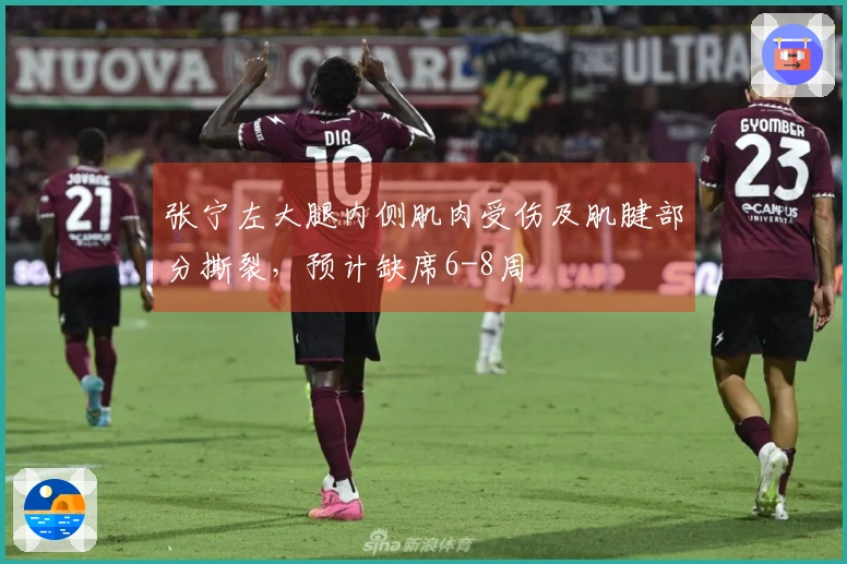 张宁左大腿内侧肌肉受伤及肌腱部分撕裂，预计缺席6-8周