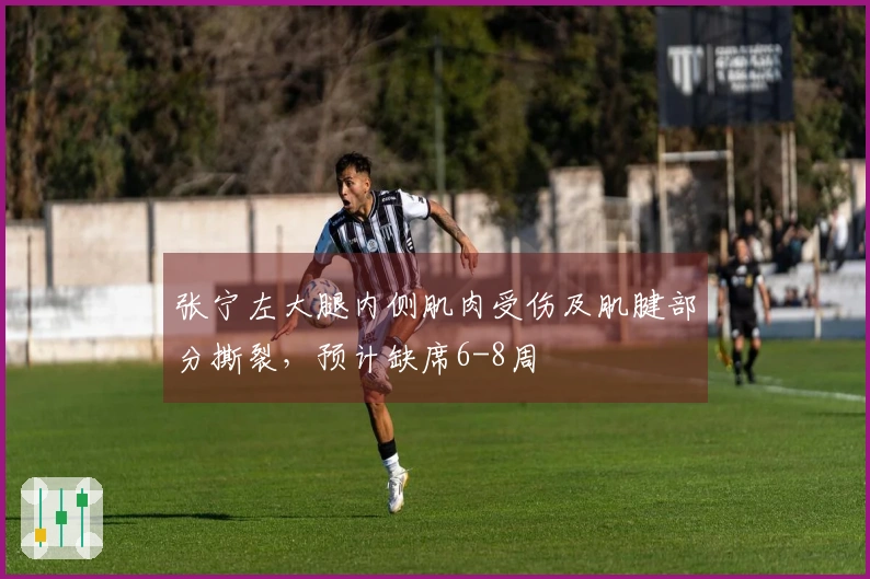 张宁左大腿内侧肌肉受伤及肌腱部分撕裂，预计缺席6-8周