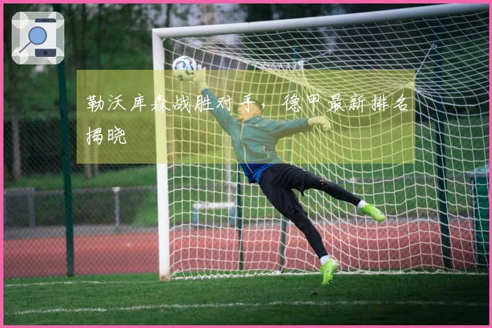 勒沃库森战胜对手，德甲最新排名揭晓